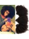 Brazilian Virgin Human Afro Kinky Curly Wave Wave Hair Extensions 3 Bundles with 1 Frontal closure Natural Color Dyeable