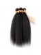 Brazilian Virgin Human Kinky Straight Wave Wave Hair Extensions 3 Bundles with 1 Frontal closure Natural Color Dyeable