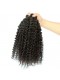 Peruvian Virgin Hair Human Hair Weaves 3 Bundles Extra Kinky Curly Natural Color can be dyed and bleached