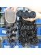 Indian Virgin Hair Water wave Free Part Lace Closure with 3pcs Weaves